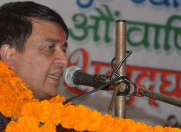 category photo