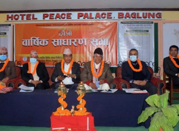 category photo
