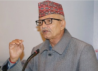 category photo