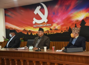 category photo