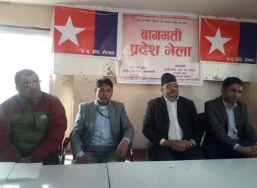 category photo