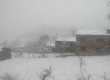 category photo