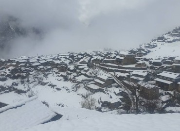 category photo