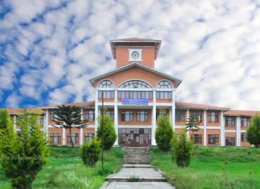 category photo