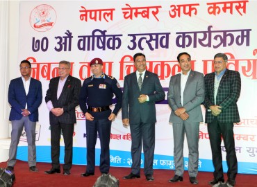 category photo