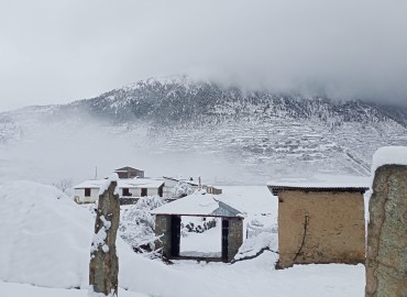 category photo