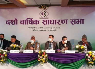 category photo