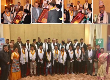 category photo