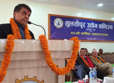 category photo