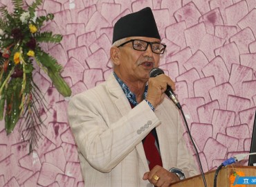 category photo