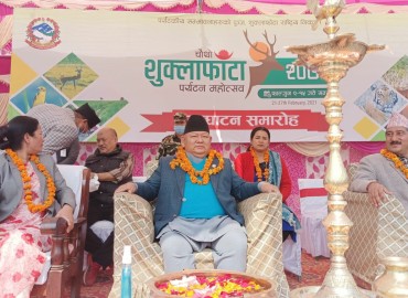 category photo