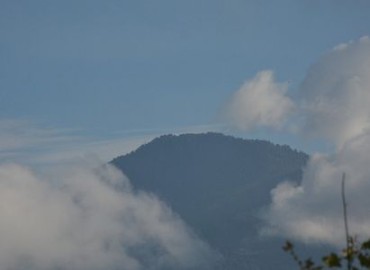 category photo
