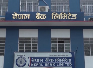 category photo