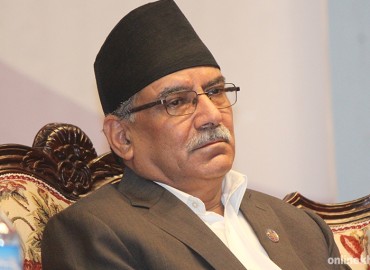 category photo