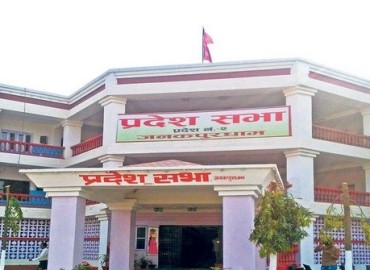 category photo
