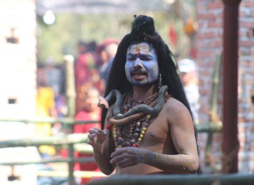 category photo