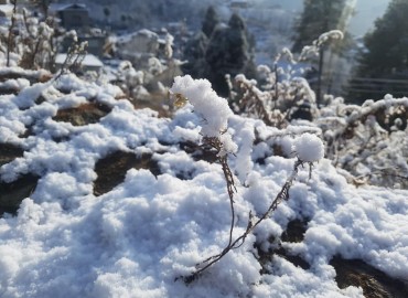 category photo