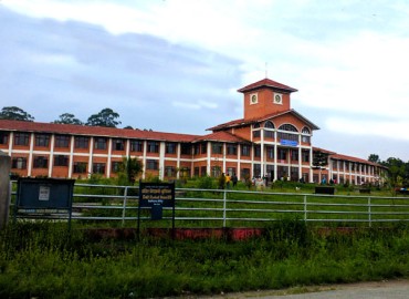 category photo