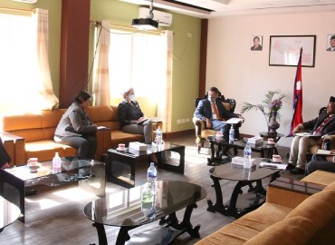 category photo