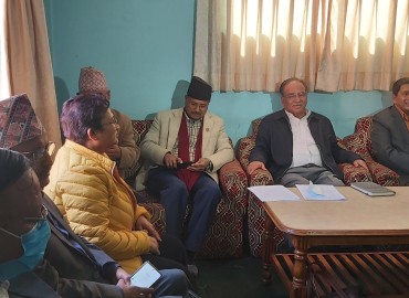 category photo