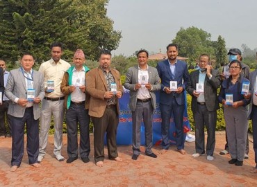 category photo