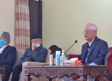 category photo
