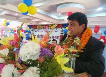 category photo