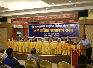 category photo