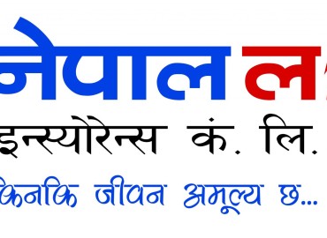category photo