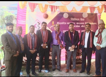 category photo