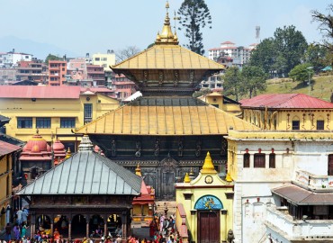 category photo