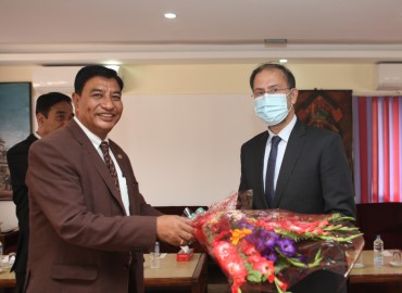 category photo