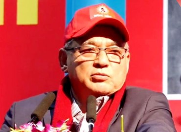 category photo