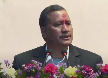 category photo