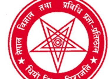 category photo