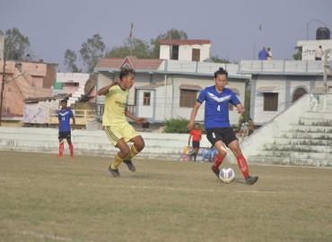 category photo