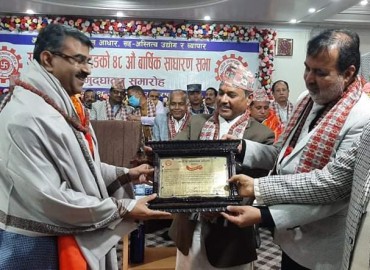 category photo