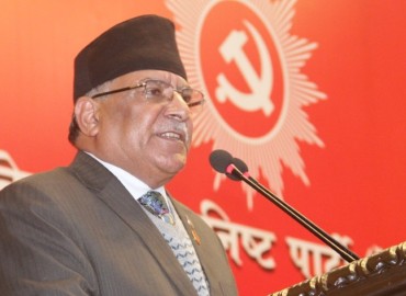 category photo