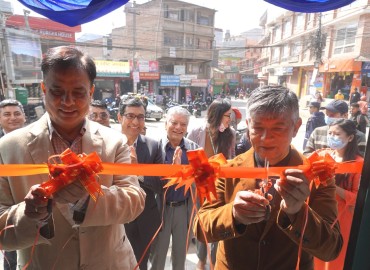 category photo
