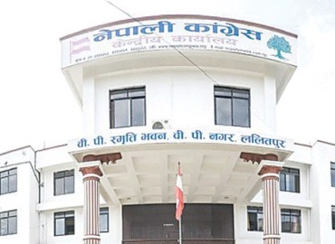 category photo