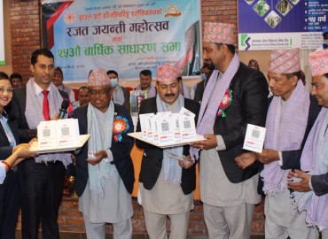 category photo