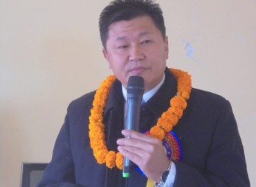 category photo