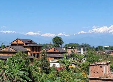 category photo