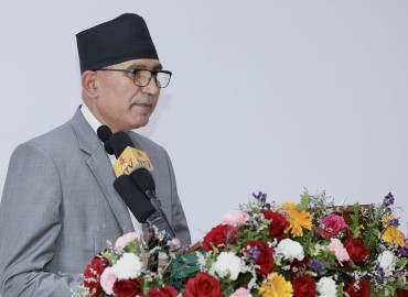 category photo