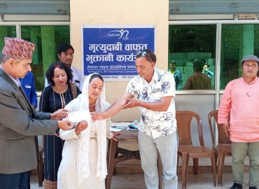 category photo