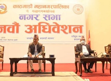 category photo