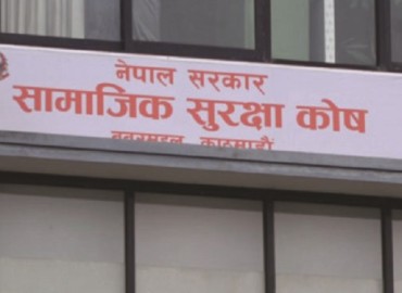 category photo