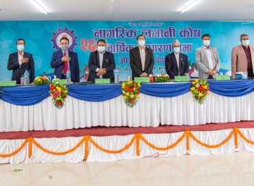 category photo