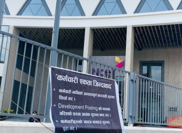 category photo