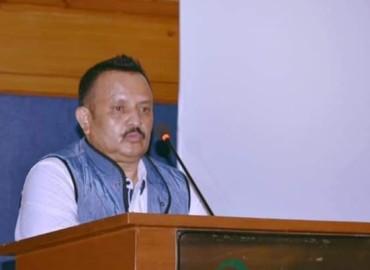 category photo